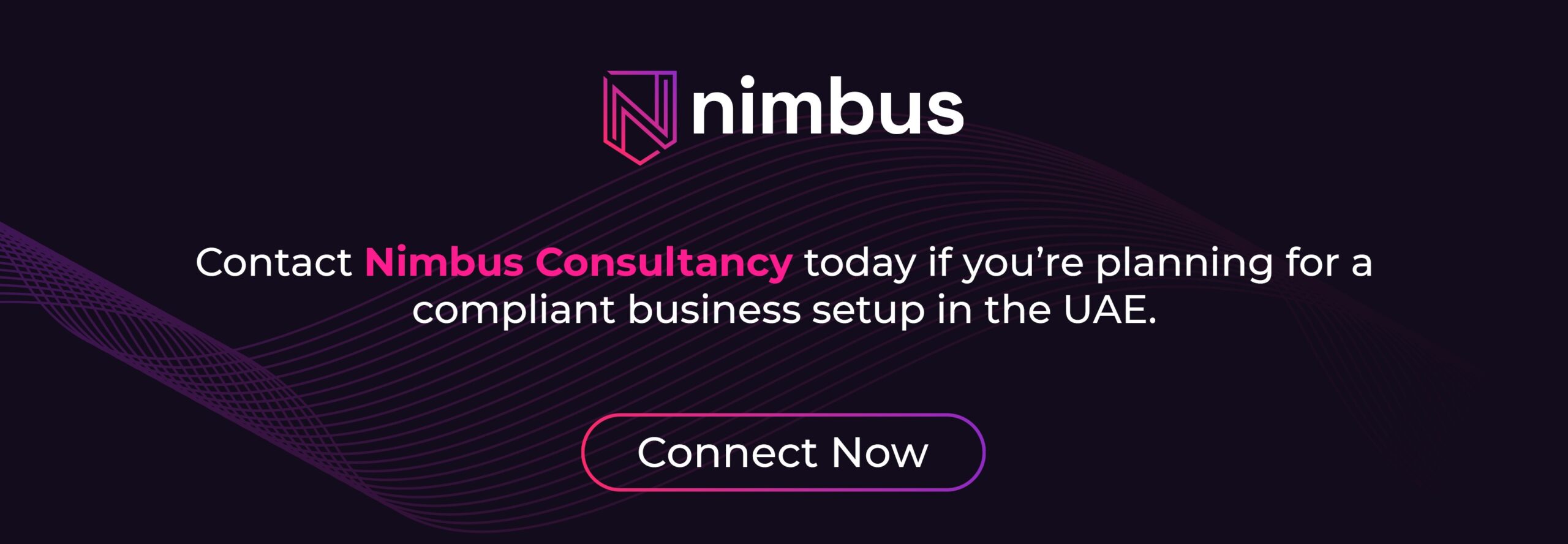 Build Your Business Future with UAE Company Formation