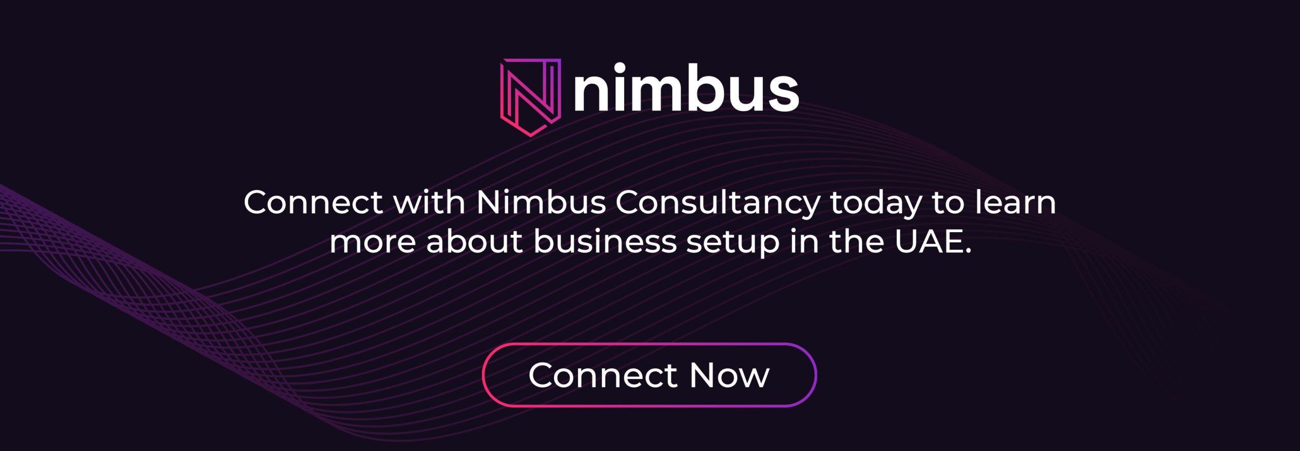 Call-to-action banner encouraging businesses to get professional help for entering the UAE market